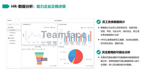 人力资源管理软件(人力资源管理软件推荐)缩略图