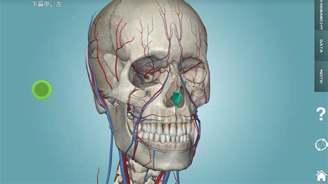 3d解剖软件(3d解剖软件下载)缩略图