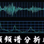 声鉴分析软件(声鉴分析软件有哪些)缩略图