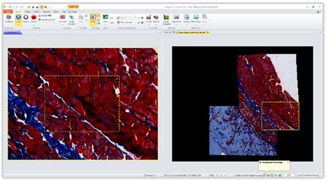 图像分析软件image,图像分析软件image-pro缩略图
