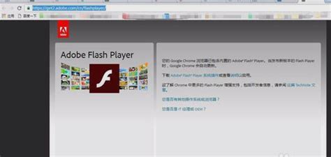 问题软件下载,问题解答软件缩略图