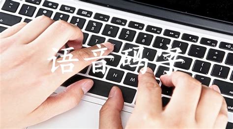 免费查字软件(免费查字软件哪个好)缩略图