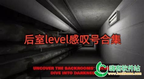 后室level档案软件(后室level官方档案)缩略图