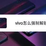 vivo怎么安装未知来源软件,vivo手机怎么解除安全模式缩略图