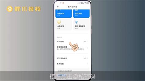 私密软件怎么设置手机,私密软件怎么设置手机密码缩略图