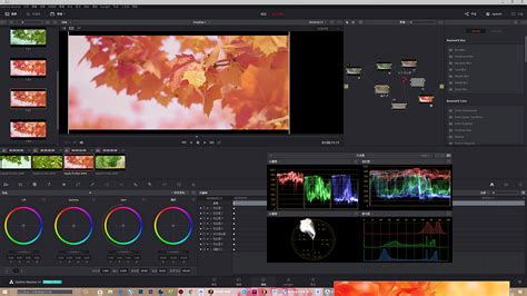 影视剪辑调色调软件(影视剪辑调色调软件有哪些)缩略图