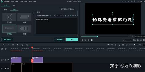 短视频字幕制作软件(短视频制作教程加字幕软件)缩略图