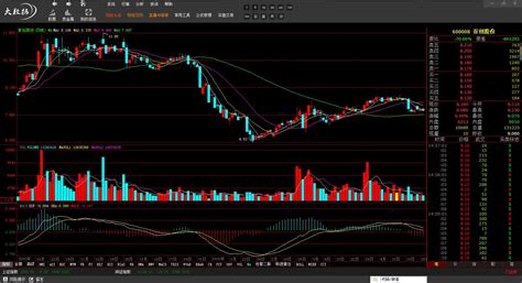 股票分析软件源代码(股票分析软件源码下载)缩略图