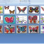 蝴蝶媒体软件(蝴蝶媒体软件,大扑克软件)缩略图