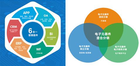 分销软件管理系统(分销软件管理系统有哪些)缩略图