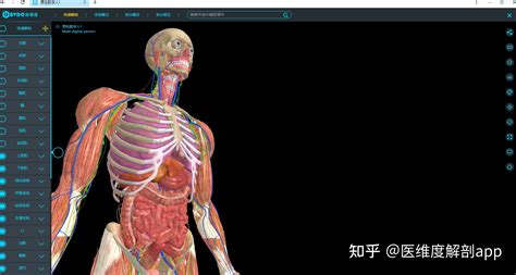 人体3d立体解剖软件(人体3d立体解剖软件推荐)缩略图