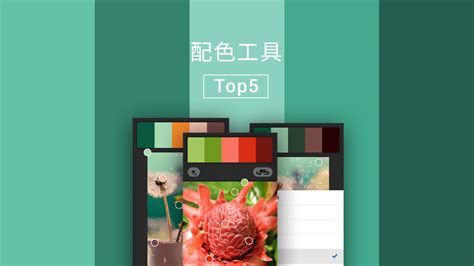 配色软件app(配色软件app哪个最好)缩略图