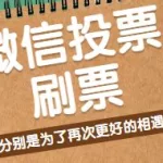 微信文章刷票软件,微信文章刷票软件有哪些缩略图