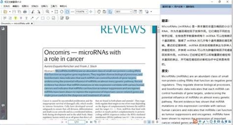 文献翻译软件word,文献翻译软件哪个好用缩略图