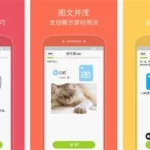 语音软件app排行(语音软件app排行榜)缩略图