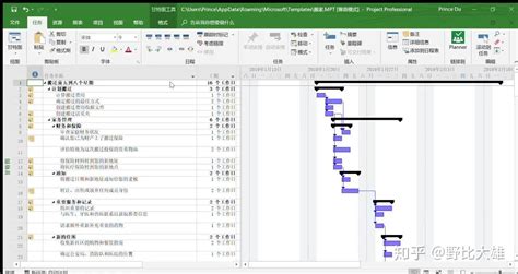 软件项目计划(软件项目计划表)缩略图