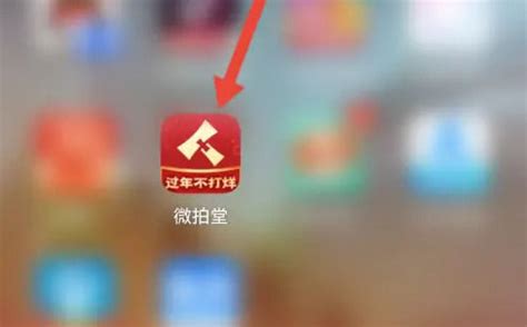 萌拍软件怎么退款注销,apple软件怎么退款缩略图