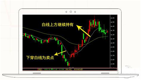 选股软件实战教程(选股软件实战教程下载)缩略图