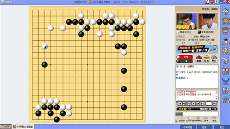 围棋软件电脑(围棋软件电脑版)缩略图