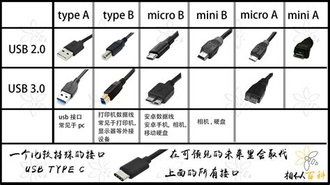 软件接口方式有几种类型,软件程序接口类型有哪些缩略图