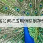 鸿蒙怎么解除风控软件,鸿蒙系统怎么解除风控软件缩略图