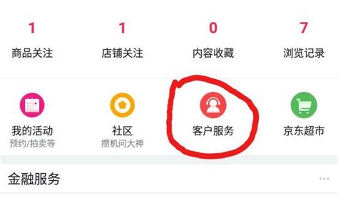京东客服软件(京东客服软件叫什么)缩略图