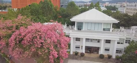 广州软件学院(广州软件学院是几本)缩略图