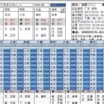 八字排盘软件小程序(八字排盘在哪里下载)缩略图