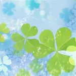 幸运四叶草(幸运四叶草假面骑士555)缩略图