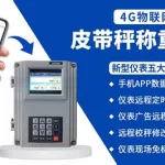手机可以称重吗(苹果手机可以称重吗)缩略图