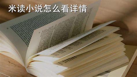 米读小说(米读小说正版免费阅读)缩略图