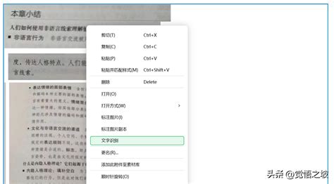 文字提取器(文字提取器免费)缩略图