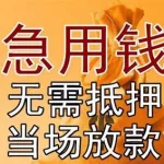 贷款软件视频,申请贷款软件缩略图