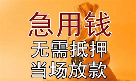 贷款软件视频,申请贷款软件缩略图