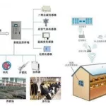 养猪软件有哪些(哪个养猪软件最赚钱)缩略图