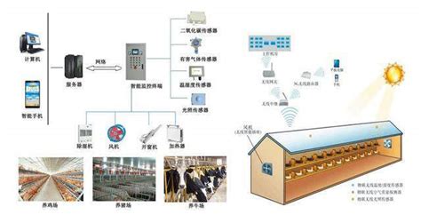 养猪软件有哪些(哪个养猪软件最赚钱)缩略图