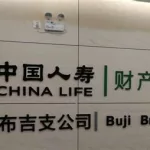 中国人寿国寿险,中国人寿国寿鑫缩略图