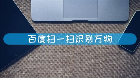 扫一扫识别石头(扫一扫识别石头的软件下载)缩略图