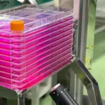 细胞工厂,细胞工厂动漫缩略图