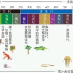 地球历史(地球历史时期划分)缩略图