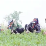 小草客户端缩略图