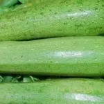 北瓜电话(北瓜电话app下载)缩略图