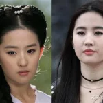 刘亦菲脸型(刘亦菲脸型属于什么脸型)缩略图