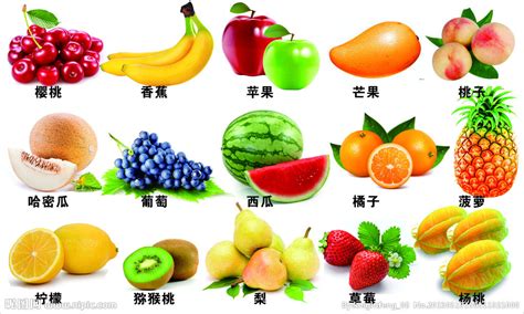 水果认知,水果认知图片缩略图