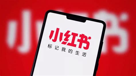 小红书旧版本(小红书旧版本下载)缩略图