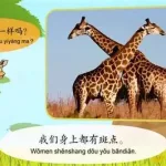 儿童识动物(儿童识动物大全3-6岁)缩略图