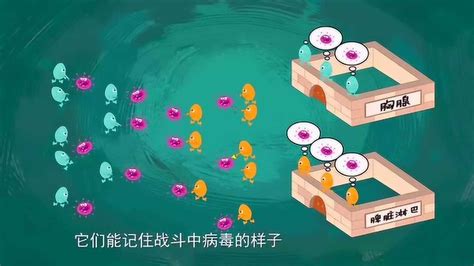 阿u学科学(阿u学科学2)缩略图