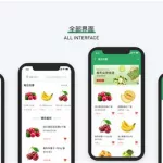 水果软件(水果软件简单的音乐制作教程)缩略图
