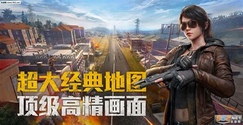 我要玩和平精英(我要玩和平精英游戏)缩略图