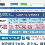 华油论坛(华油论坛招聘最新招聘信息)缩略图